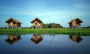 Majuli Island


                                    