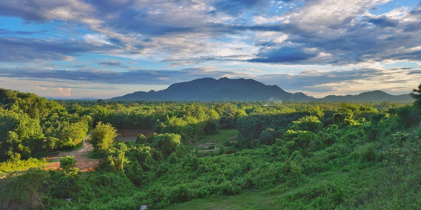 Nature Trails & Forest Treks
                                