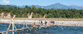 Jungle Trekking & Exploration
                    