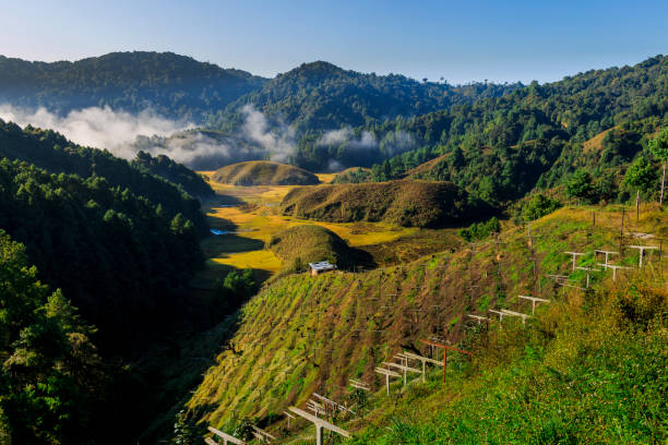Ziro Valley