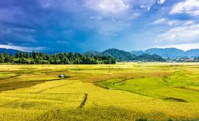 Ziro Valley Landscape, Arunachal Pradesh