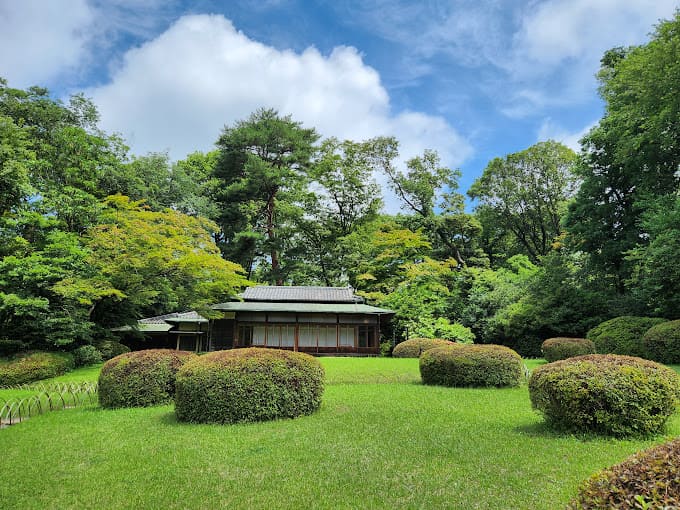 Visit Tokyo Meiji Shrine. - Image 2