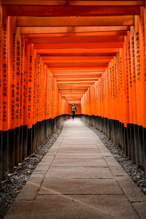 Visit the famous Fushimi Inari Shrine. - Image 1