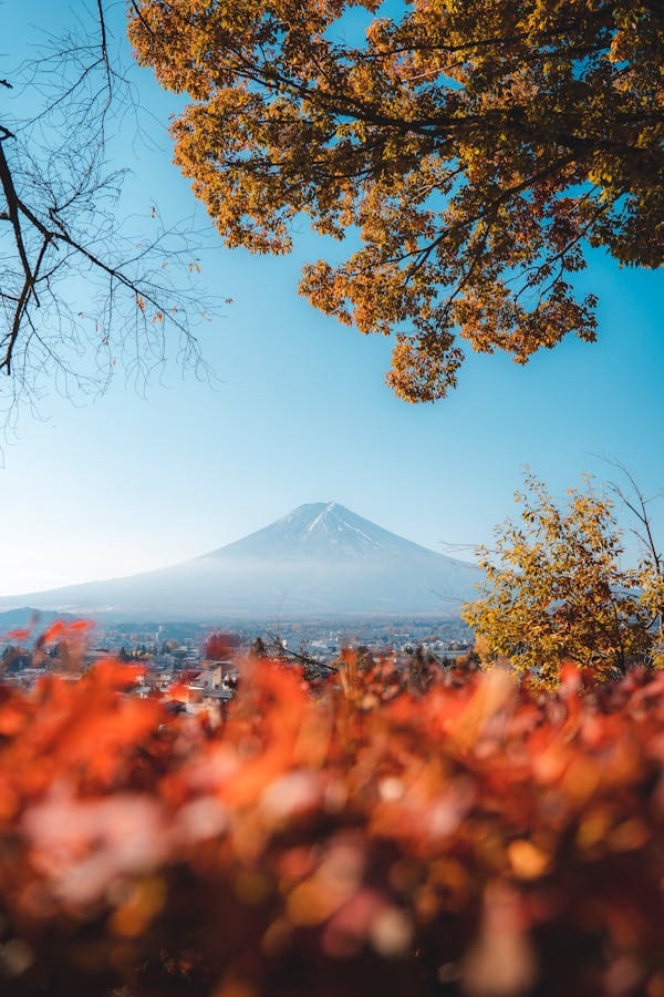 Travel to Mount Fuji Area. - Image 1