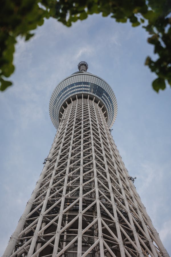 Visit the Tokyo Skytree. - Image 2