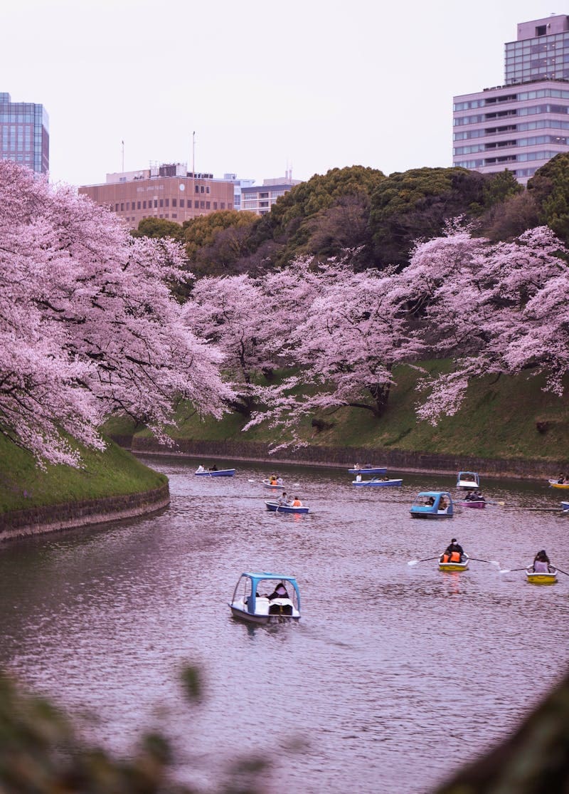 Visit Tokyo Imperial Palace and East Gardens - Image 3