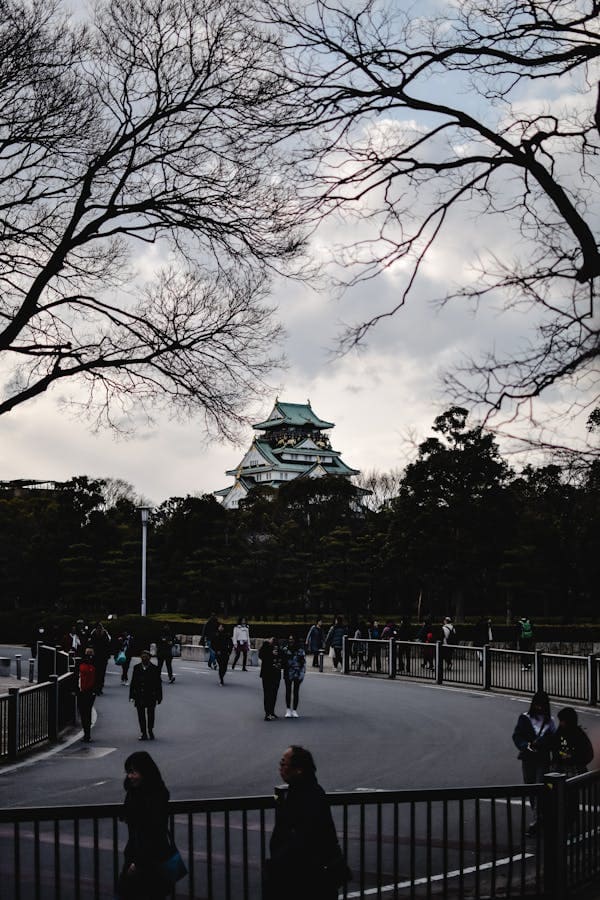Visit Osaka Castle - Image 2