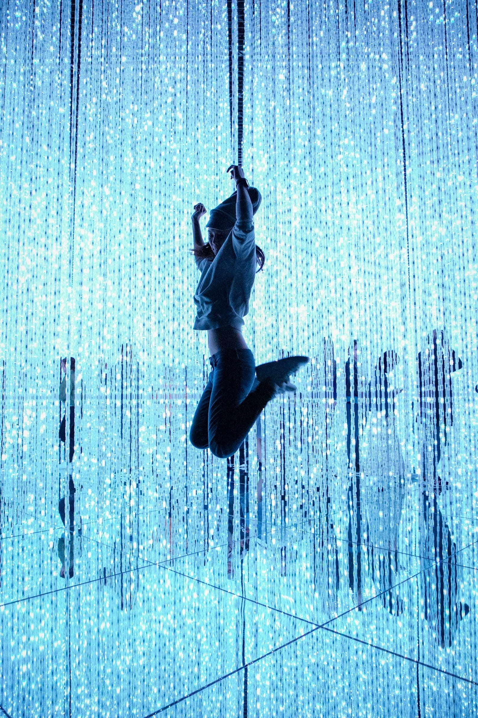 Visit TeamLab Borderless. - Image 3