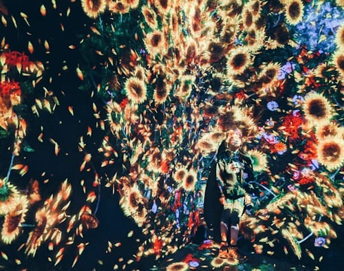 Visit TeamLab Borderless. - Image 2