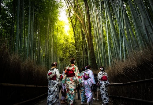 Visit Arashiyama Bamboo Grove. - Image 2